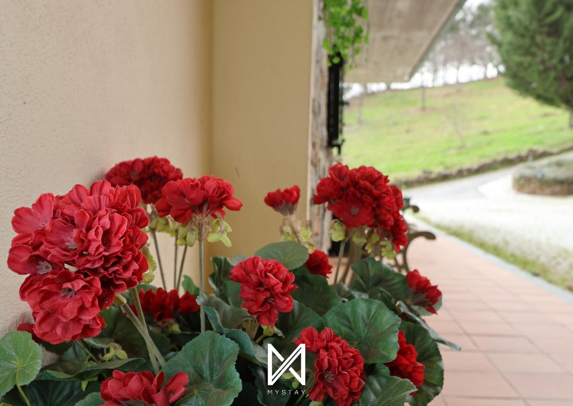 Mystay - Casa Pereira Soeima Alfândega da Fé Exterior foto